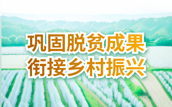 鞏固拓展脫貧攻堅(jiān)成果 銜接鄉(xiāng)村振興